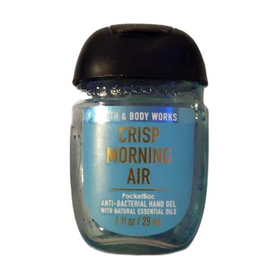 Bath & Body Works Crisp Morning Air Anti-Bacterial Hand Gel